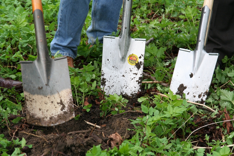 pepiniere-SIGNES-min_work-lawn-flower-tool-green-backyard-1103633-pxhere.com